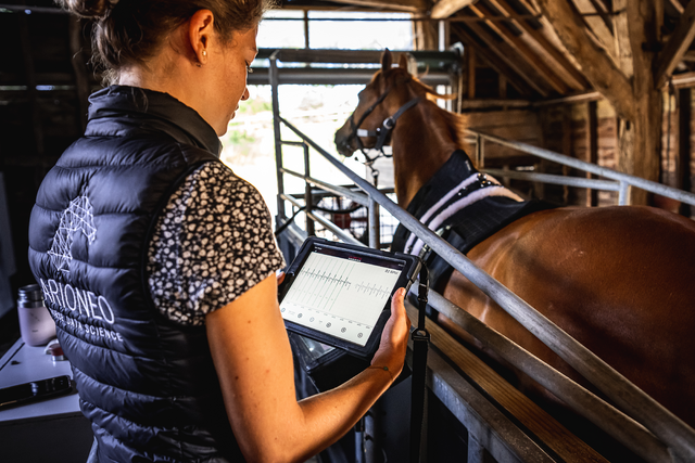 LIM Group Brands: Custom Saddles, Horse Care and Health Products